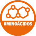Aminoácidos Bypass